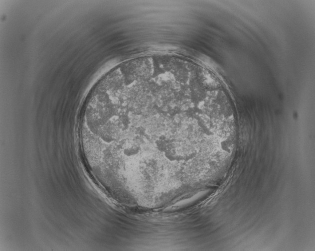 X0000062141235200601060915