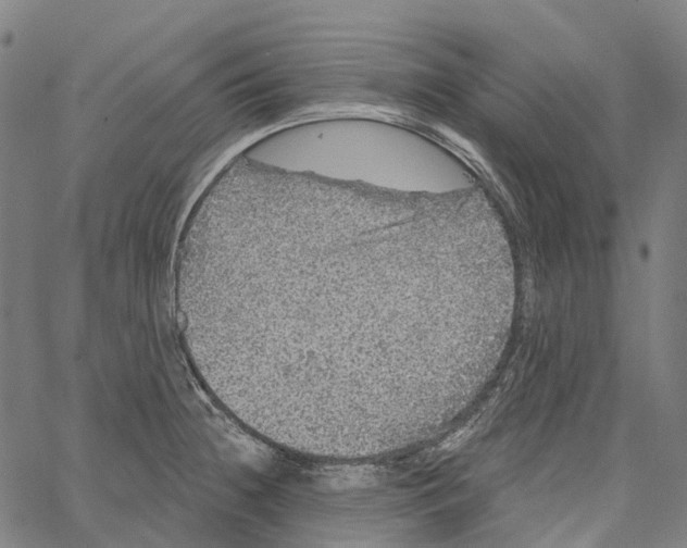 X0000062141236200601060915