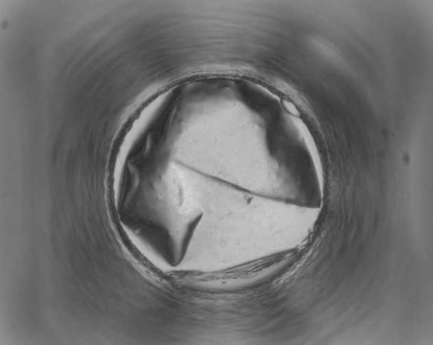 X0000062141237200601060915