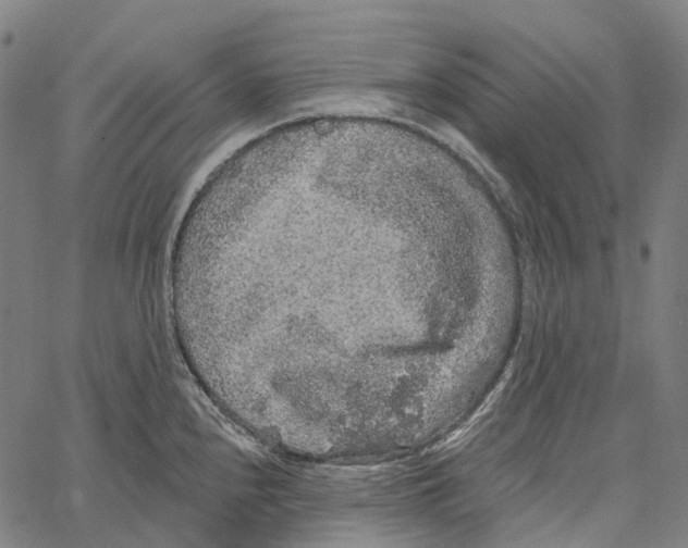 X0000062141240200601060915