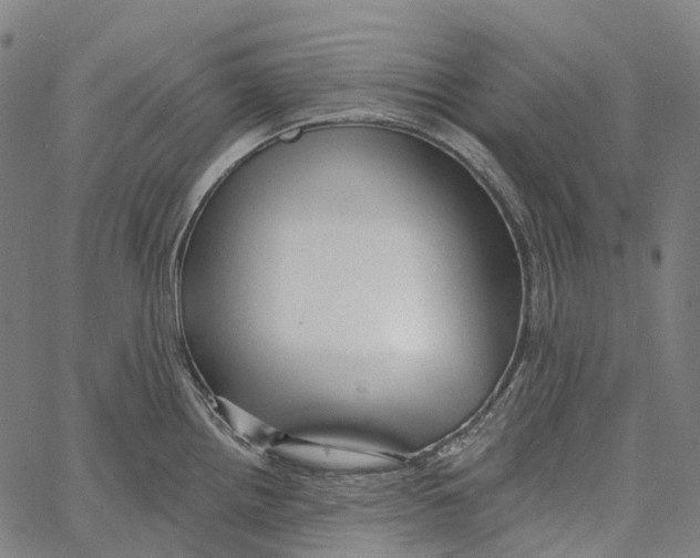 X0000062141242200601060915