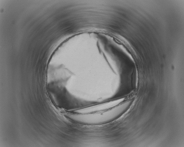 X0000062141244200601060915