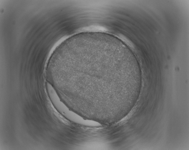 X0000062141248200601060915