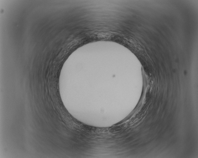 X0000062141249200601060914