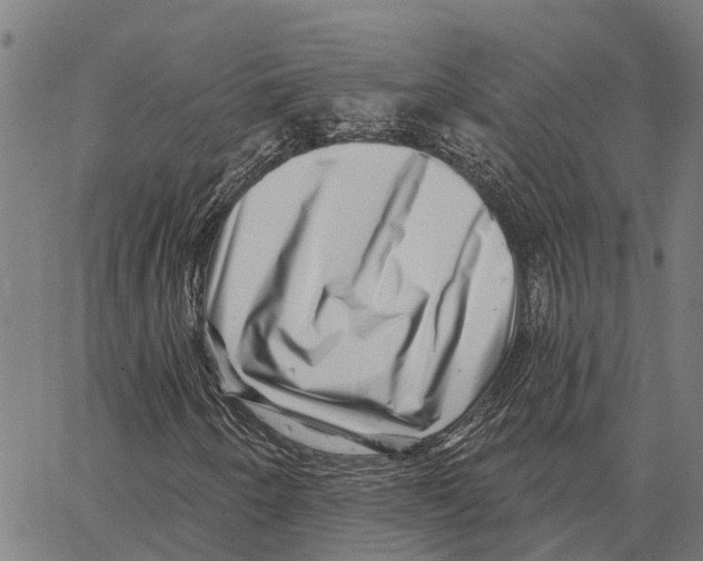 X0000062141250200601060914