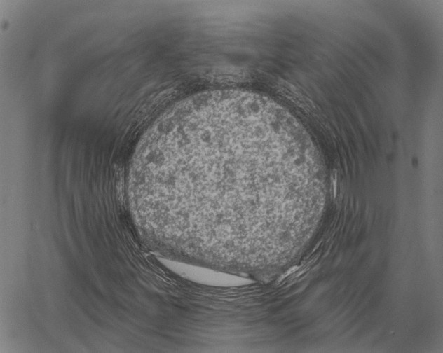 X0000062141251200601060914