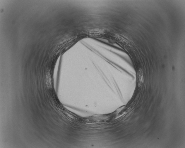 X0000062141252200601060914