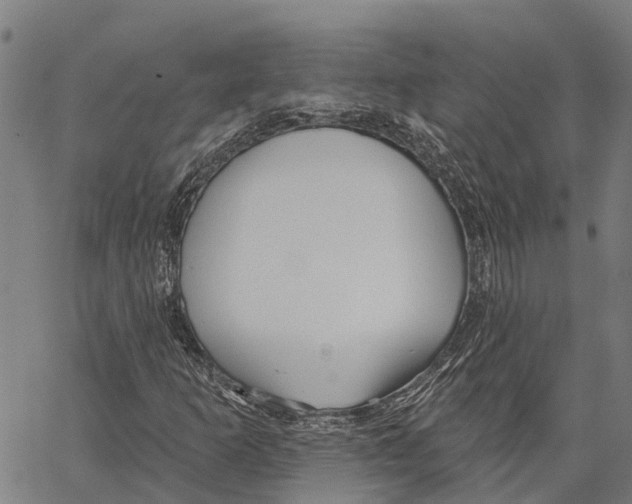 X0000062141253200601060914