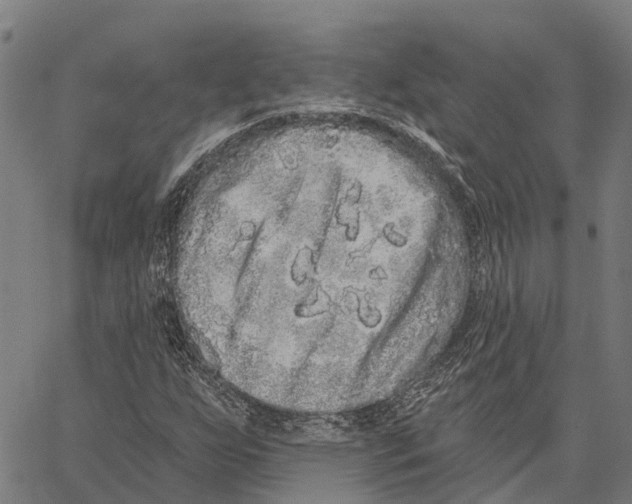 X0000062141255200601060914