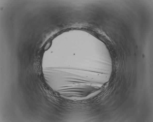 X0000062141256200601060914