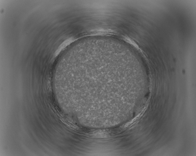 X0000062141259200601060914