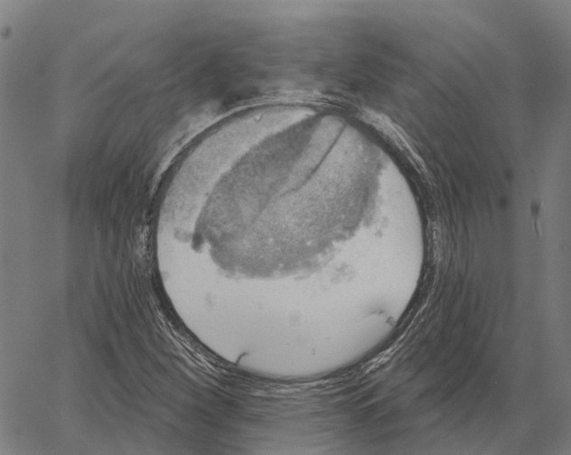 X0000062141260200601060914