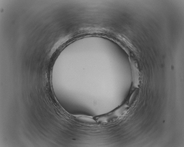 X0000062141261200601060914