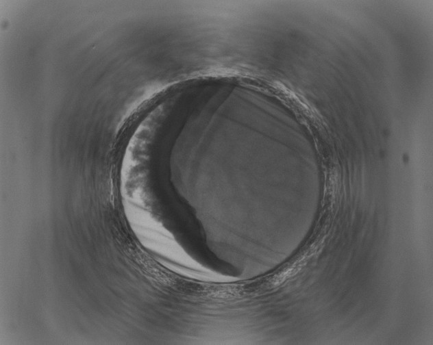 X0000062141262200601060914