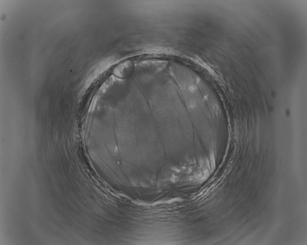 X0000062141263200601060914