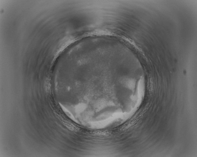 X0000062141266200601060914