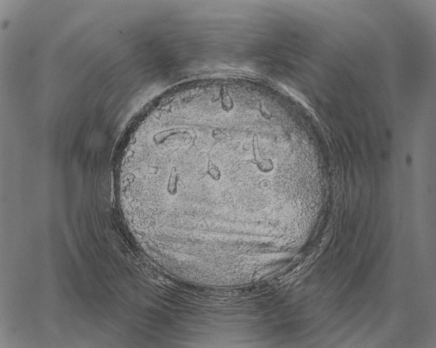 X0000062141267200601060914