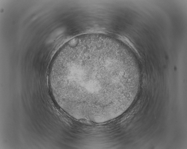 X0000062141268200601060914