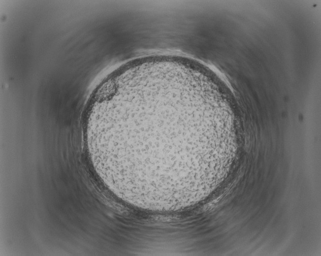 X0000062141271200601060914