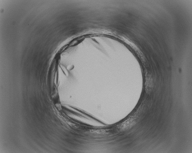 X0000062141272200601060914