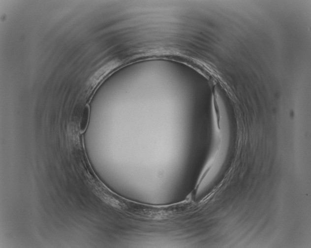 X0000062141273200601060914