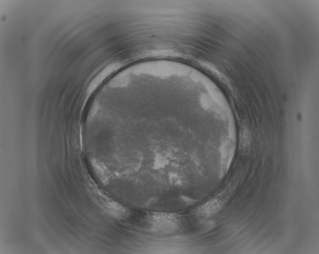 X0000062141274200601060914