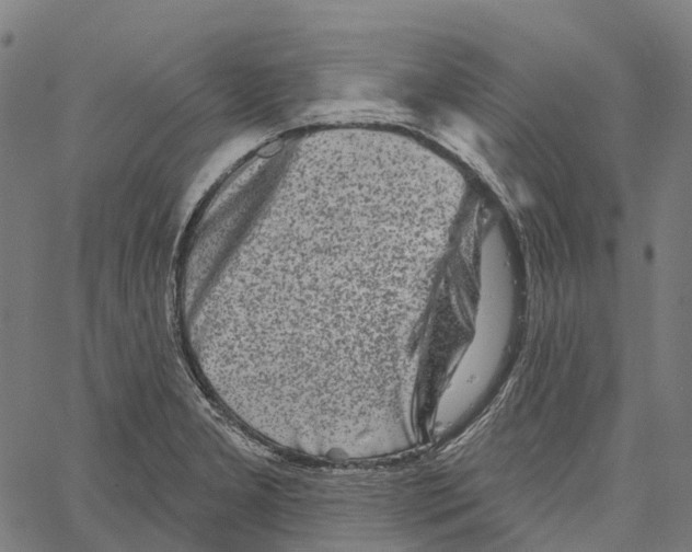 X0000062141277200601060914