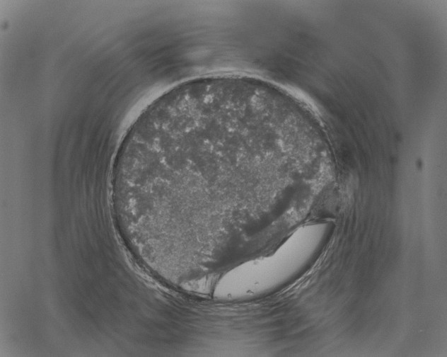 X0000062141279200601060914