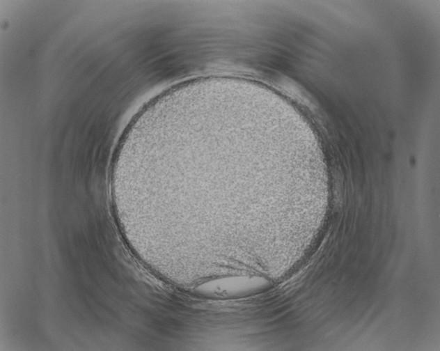 X0000062141280200601060914