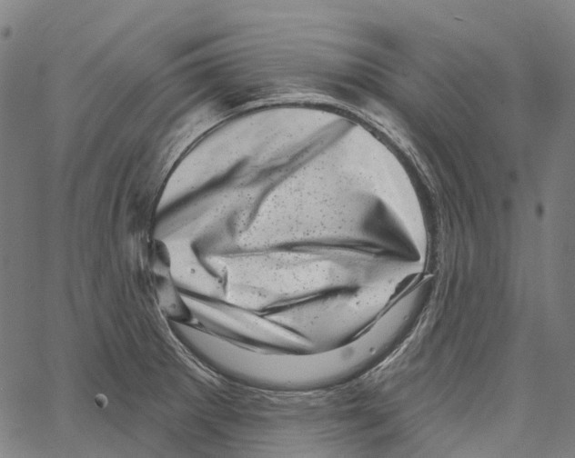 X0000062141281200601060914