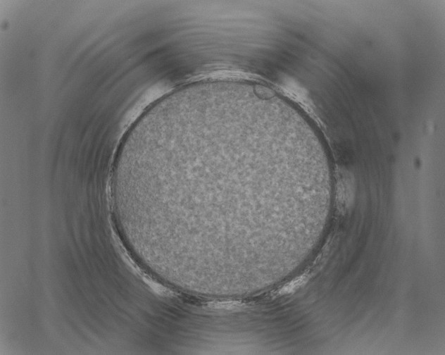 X0000062141282200601060914