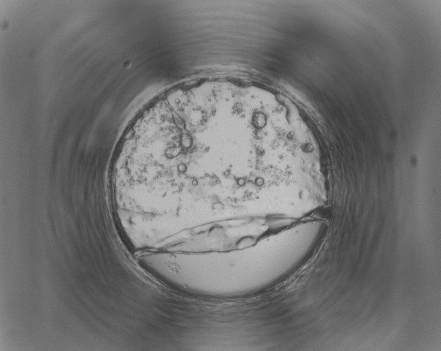 X0000062141283200601060914