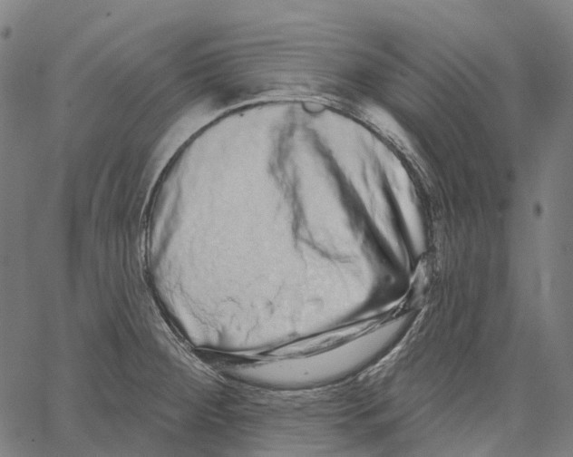 X0000062141284200601060913