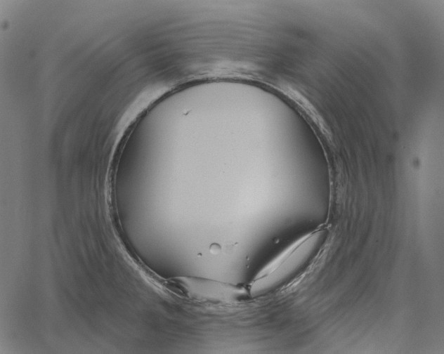 X0000062141285200601060913