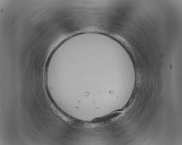 X0000062141286200601060913