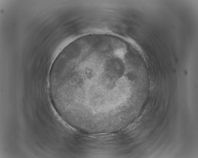 X0000062141287200601060913