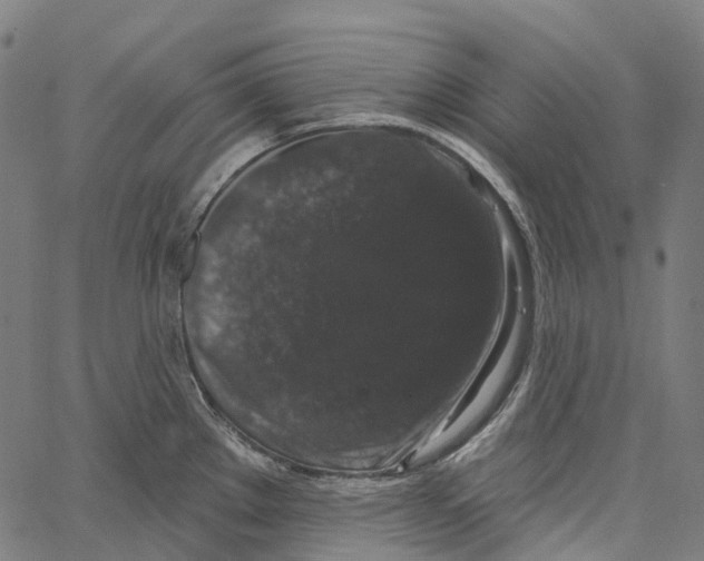 X0000062141289200601060913