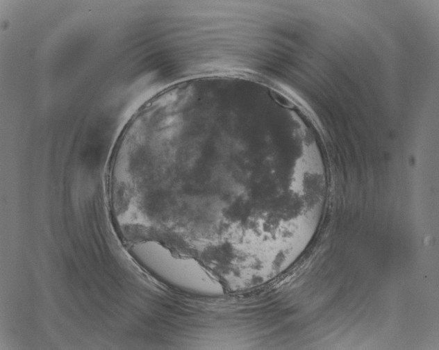 X0000062141291200601060913