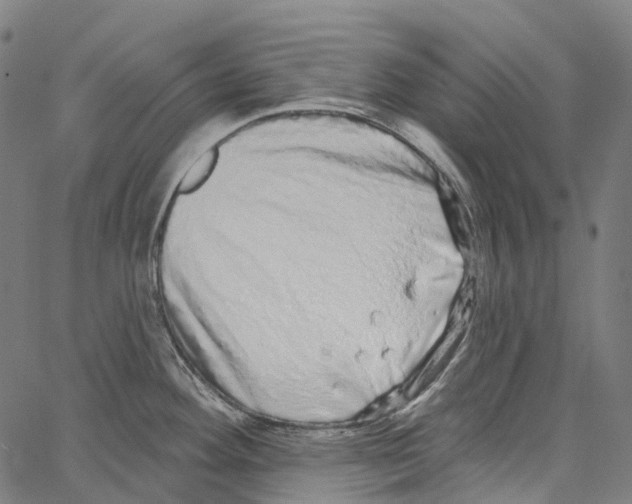 X0000062141292200601060913