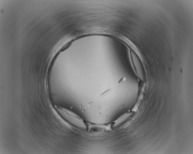 X0000062141293200601060913