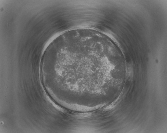 X0000062141294200601060913