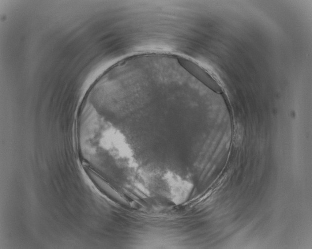 X0000062141295200601060913