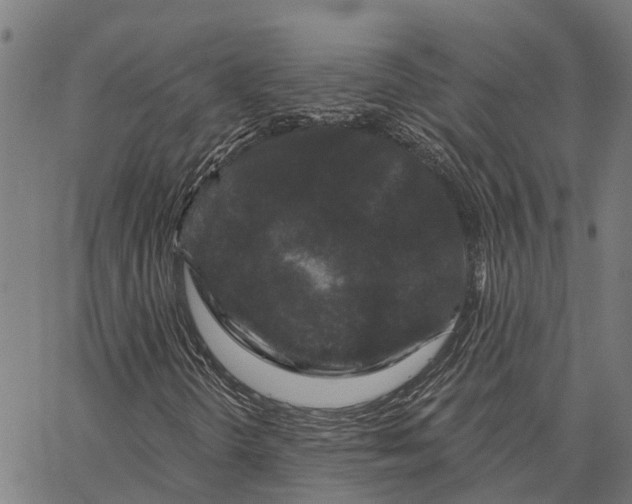 X0000062141298200601060913