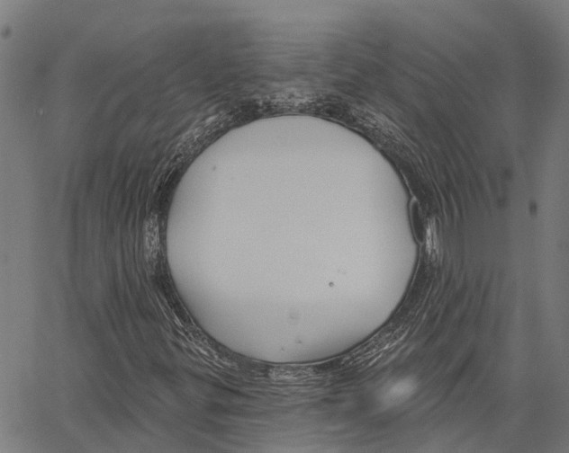 X0000062141299200601060913