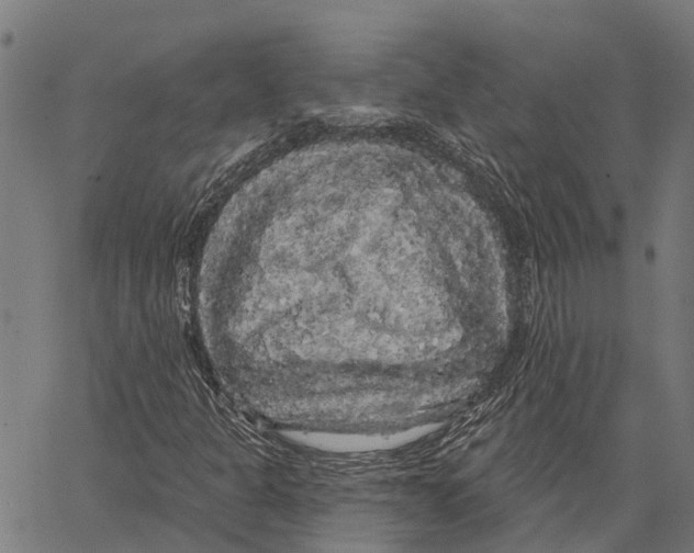 X0000062141301200601060913