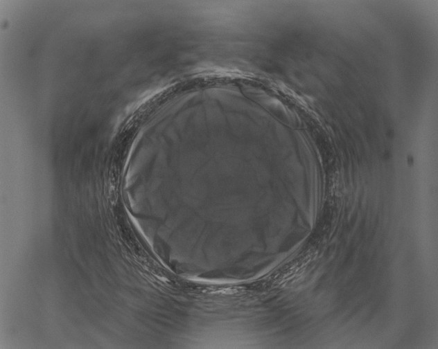 X0000062141303200601060913