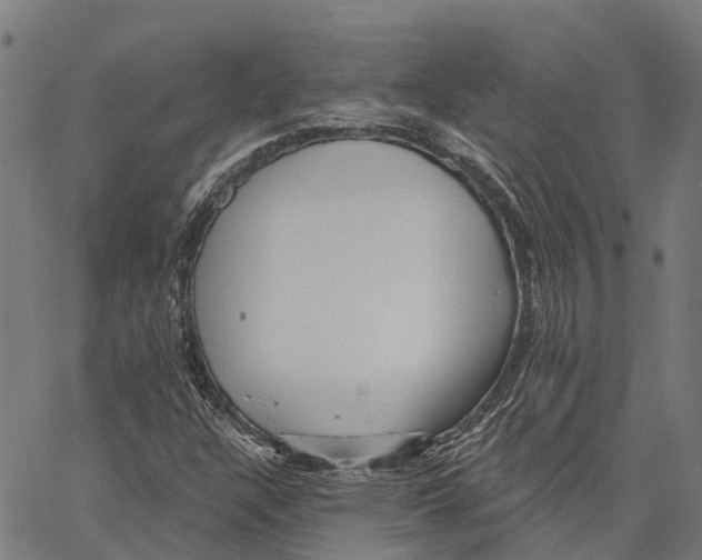 X0000062141304200601060913