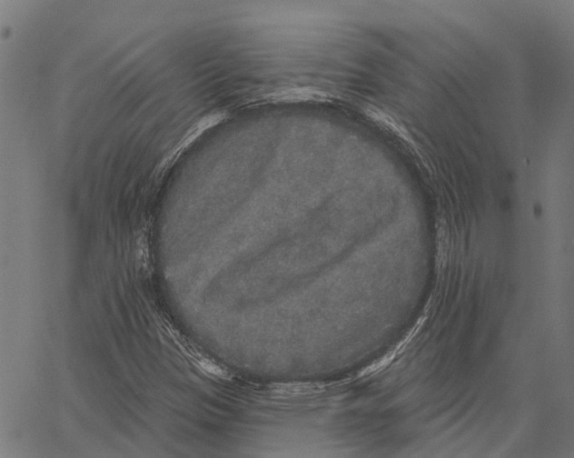 X0000062141305200601060913