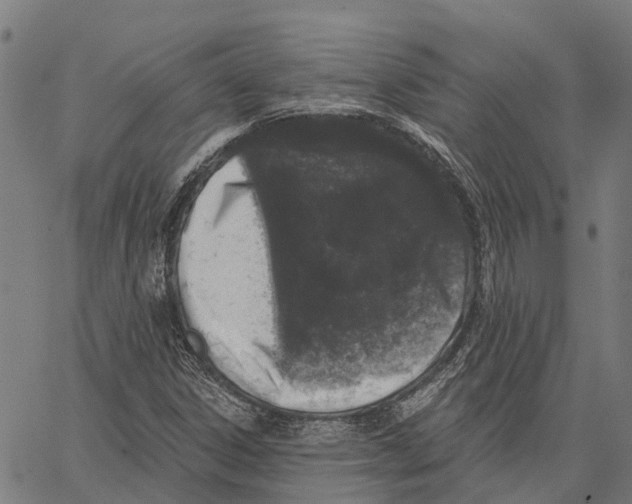 X0000062141306200601060913