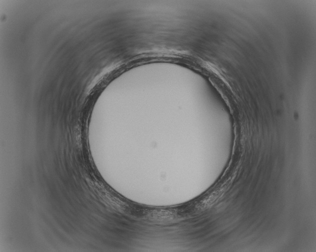 X0000062141307200601060913